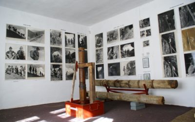 Expoziția pavilionară